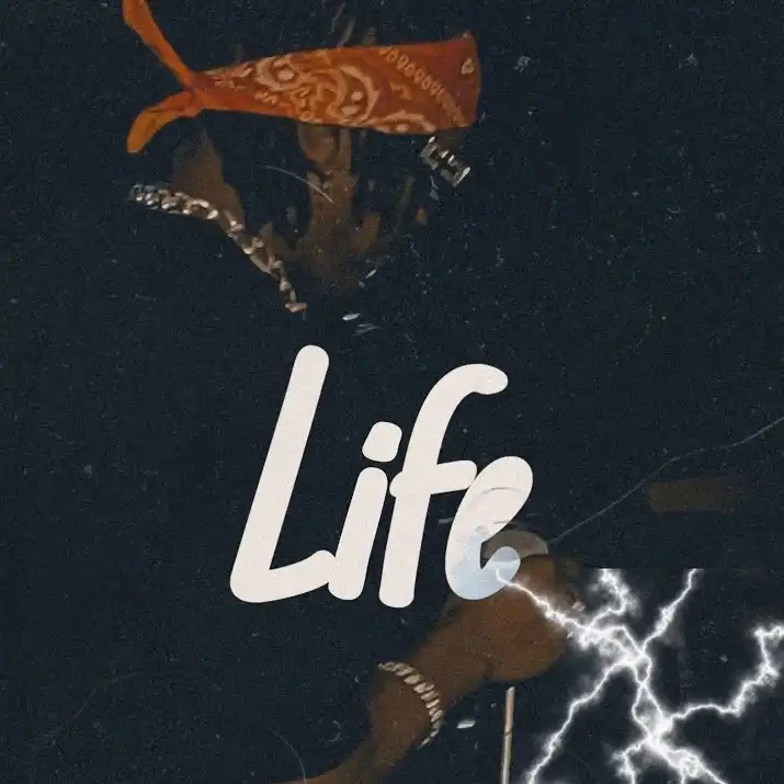 beenie-gunter-life-album-cover