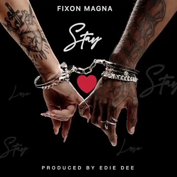 fixon-magna-stay-album-cover