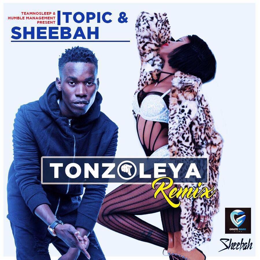 sheebah-tonzoleya-album-cover