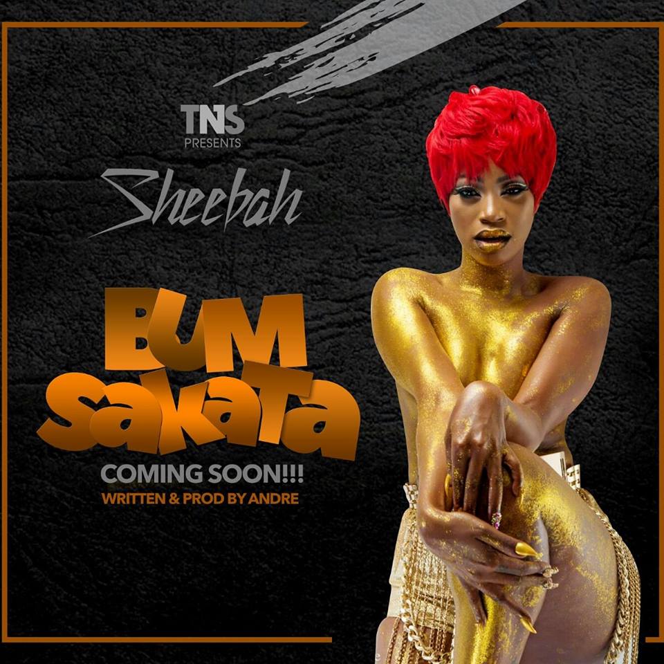 sheebah-bum-sakata-album-cover