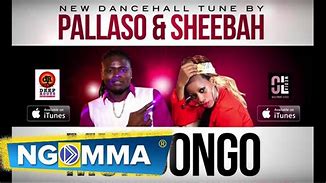 pallaso-mudongo-album-cover