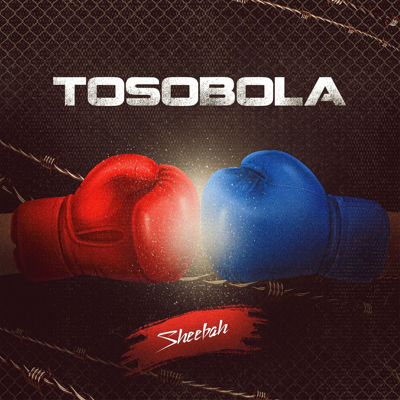sheebah-tosobola-album-cover