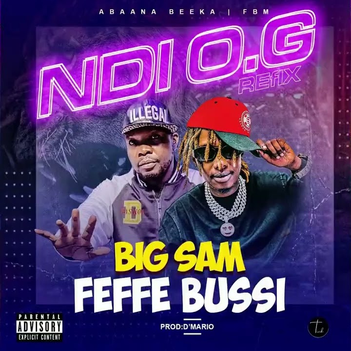 feffe-bussi-ndi-o-g-refix-album-cover