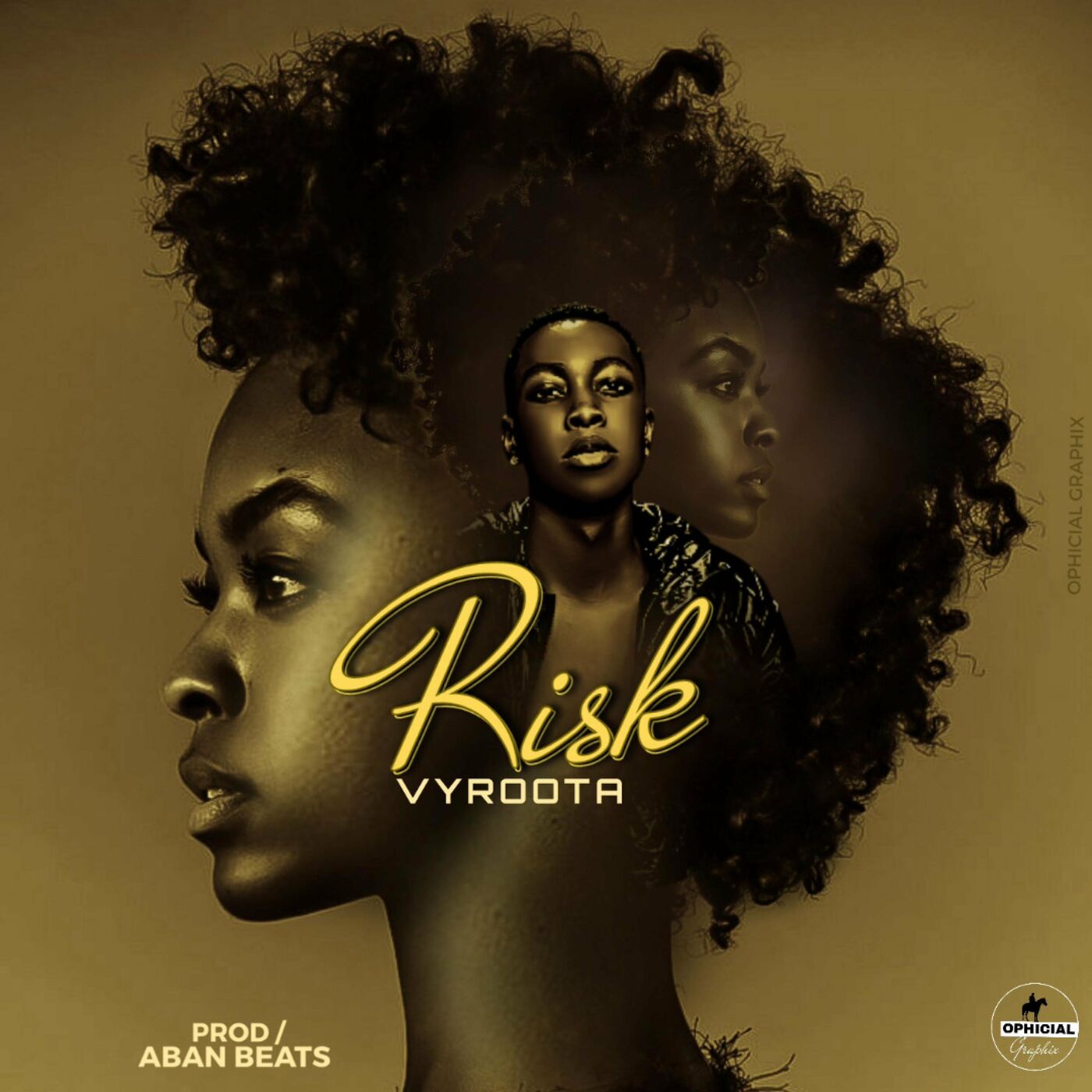 vyroota-risk-album-cover