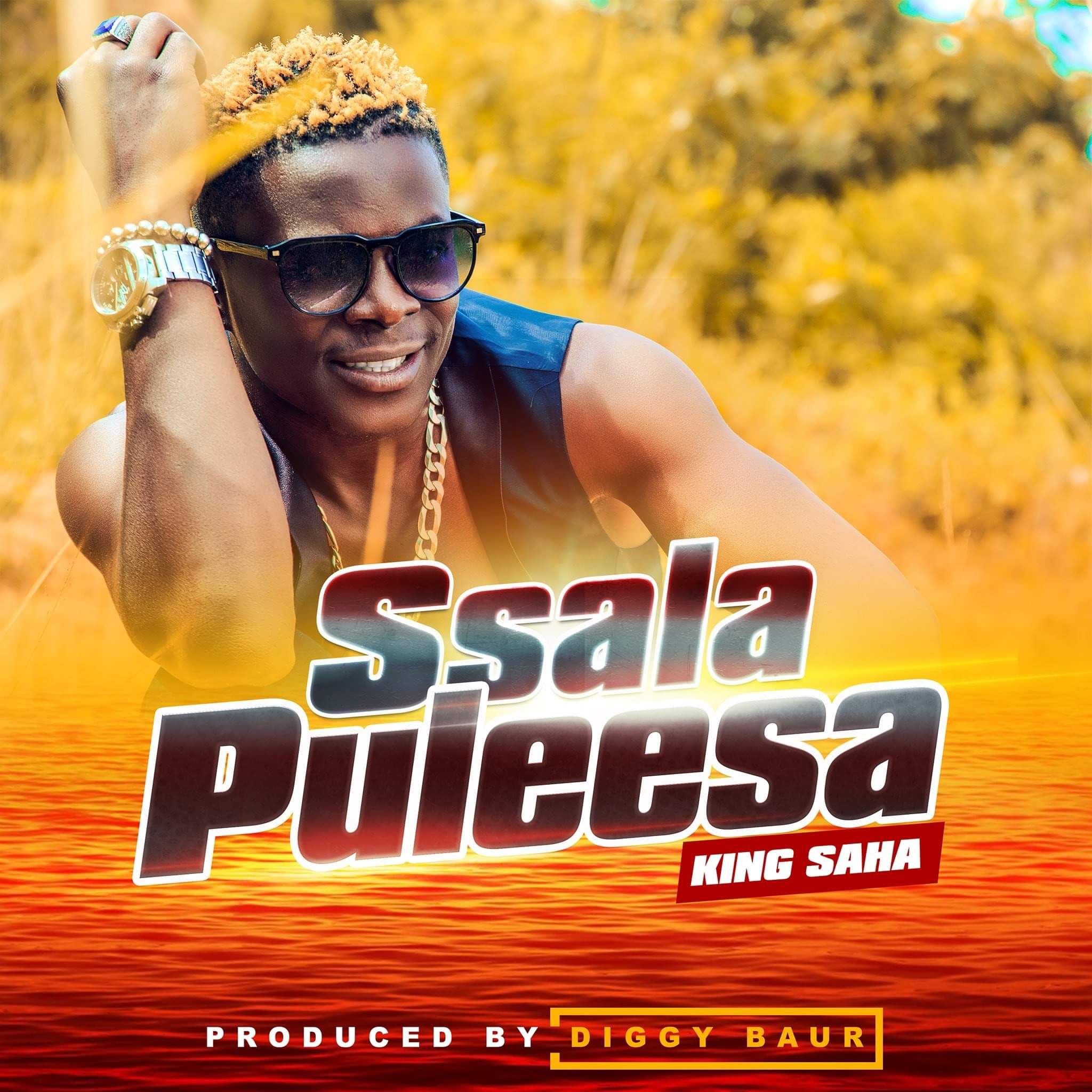 king-saha-ssala-puleesa-album-cover