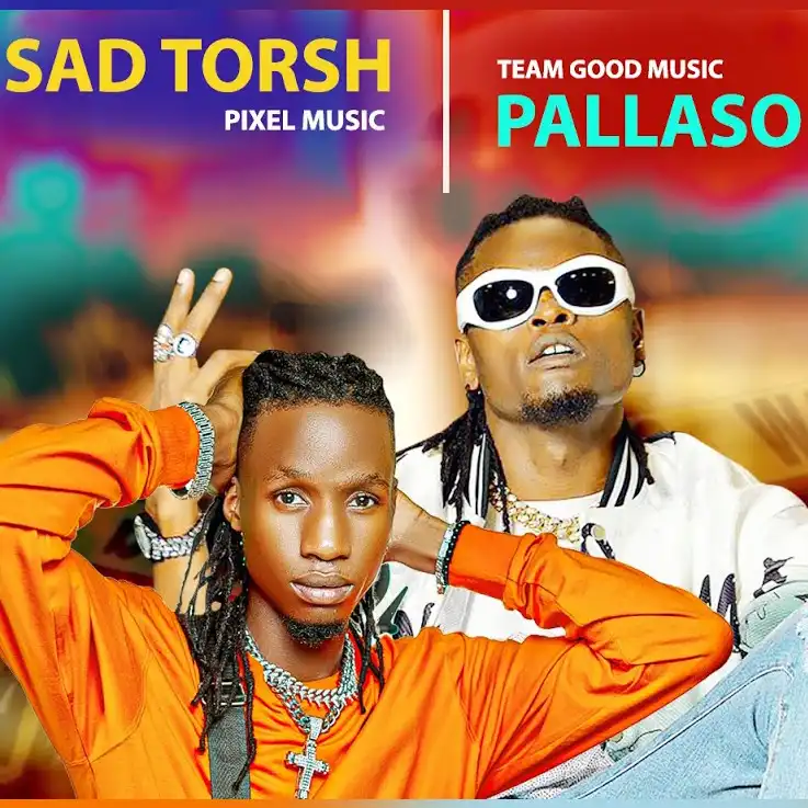 pallaso-tewekoya-album-cover