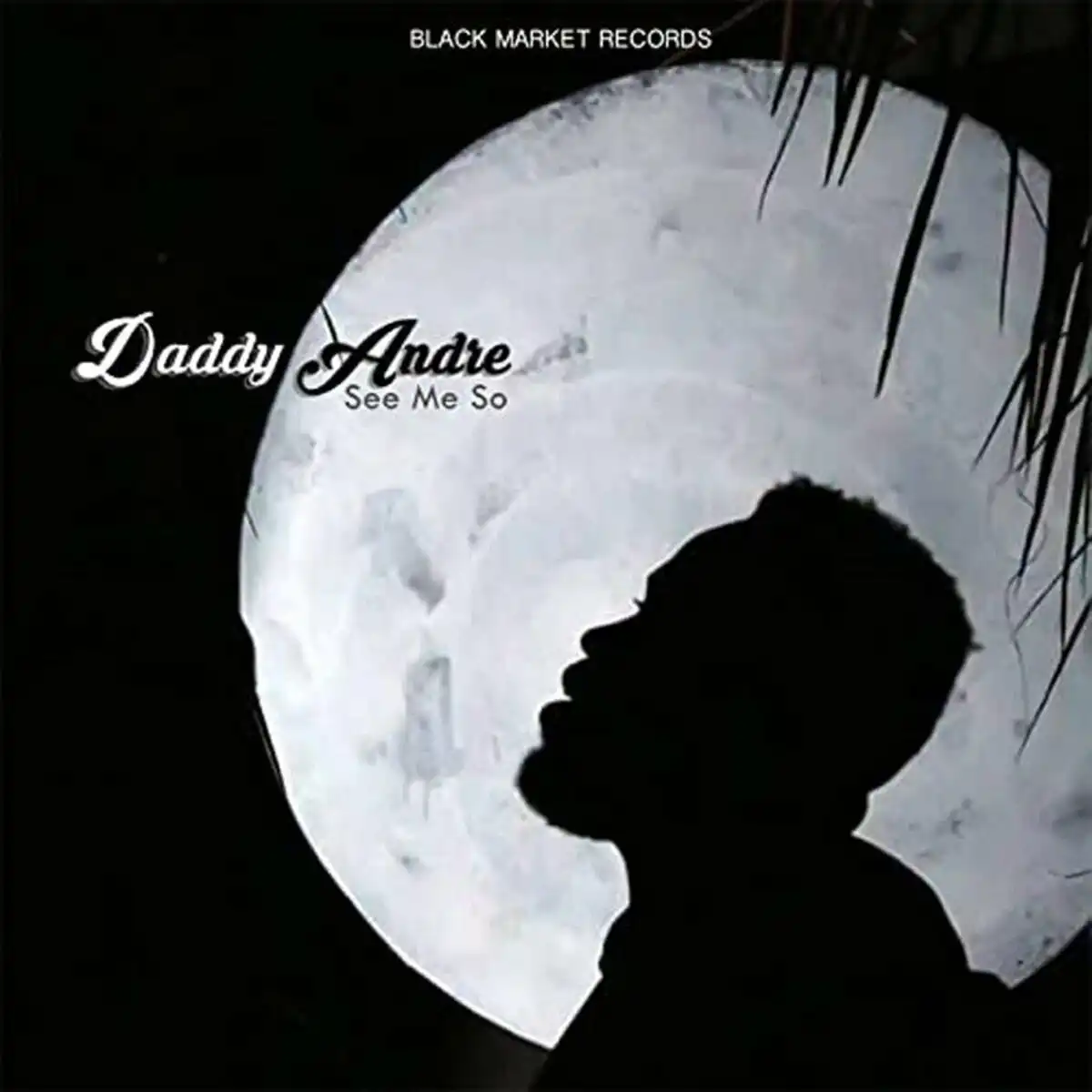 daddy-andre-see-me-so-album-cover