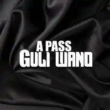 a-pass-guli-wano-album-cover