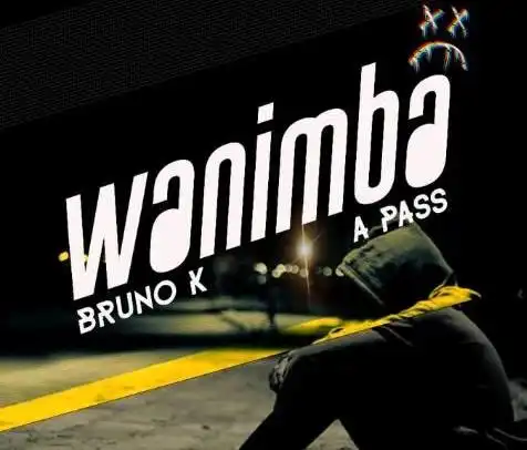 a-pass-wanimba-album-cover