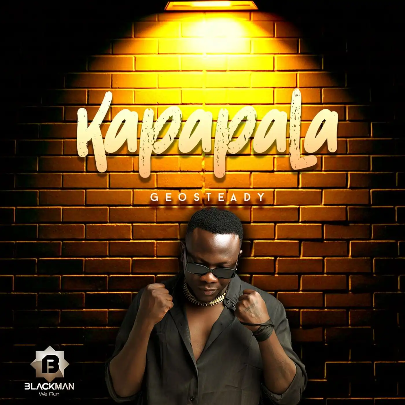 geosteady-kapapala-album-cover