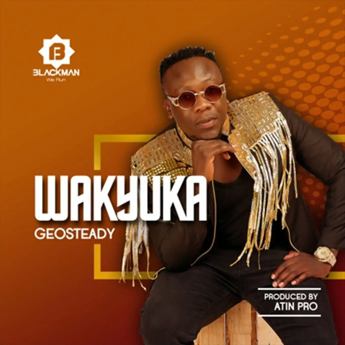 geosteady-wakyuka-album-cover