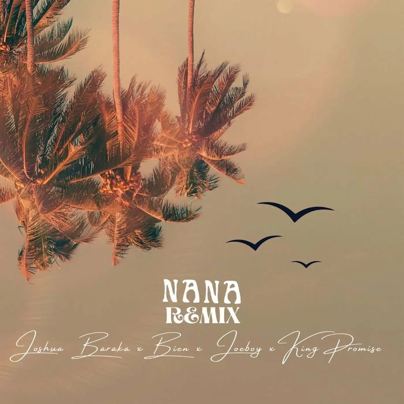 joshua-baraka-nana-remix-album-cover