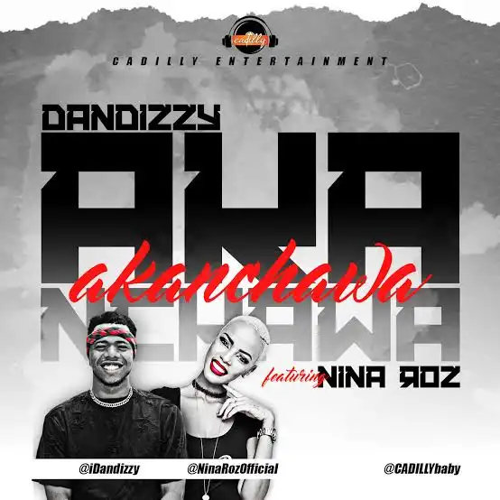 nina-roz-akanchawa-album-cover