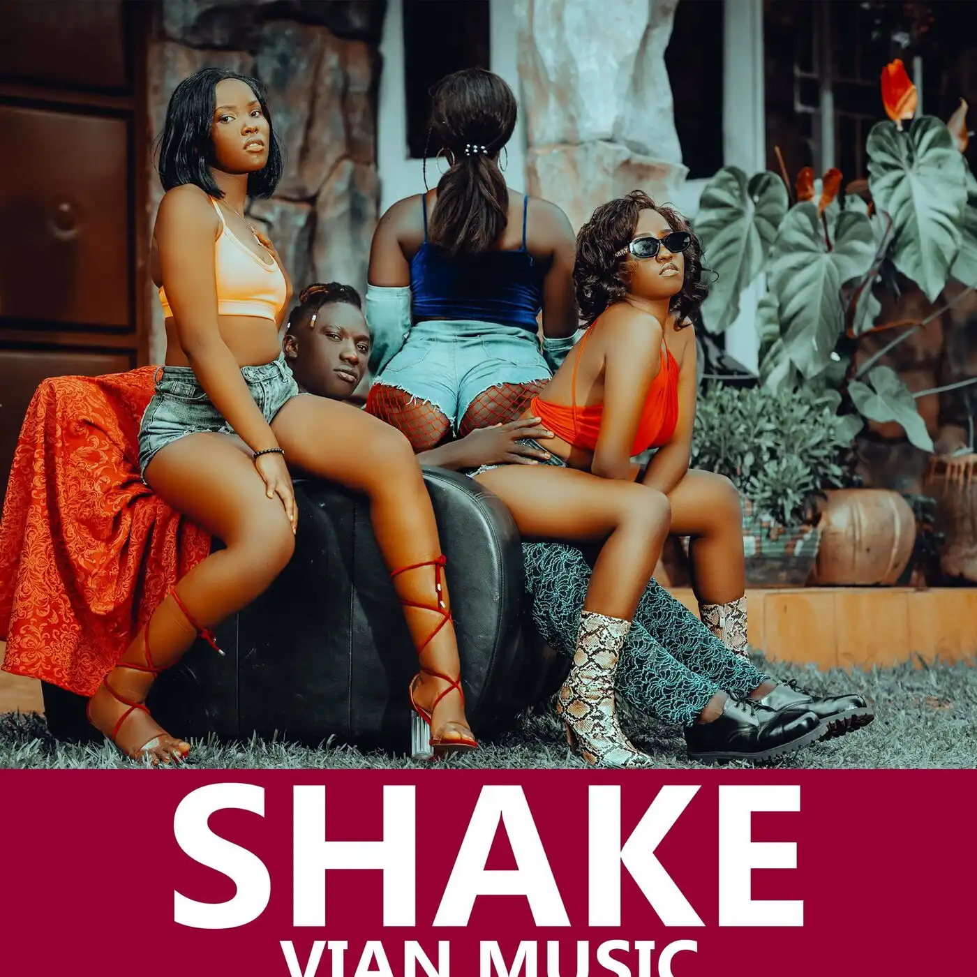 vian-music-shake-remix-album-cover