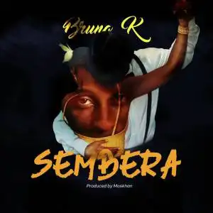 bruno-k-sembera-album-cover