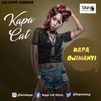 kapa-cat-kapa-ojimanyi-album-cover