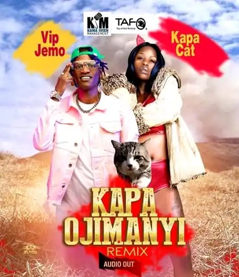 kapa-cat-kapa-ojimanyi-remix-album-cover