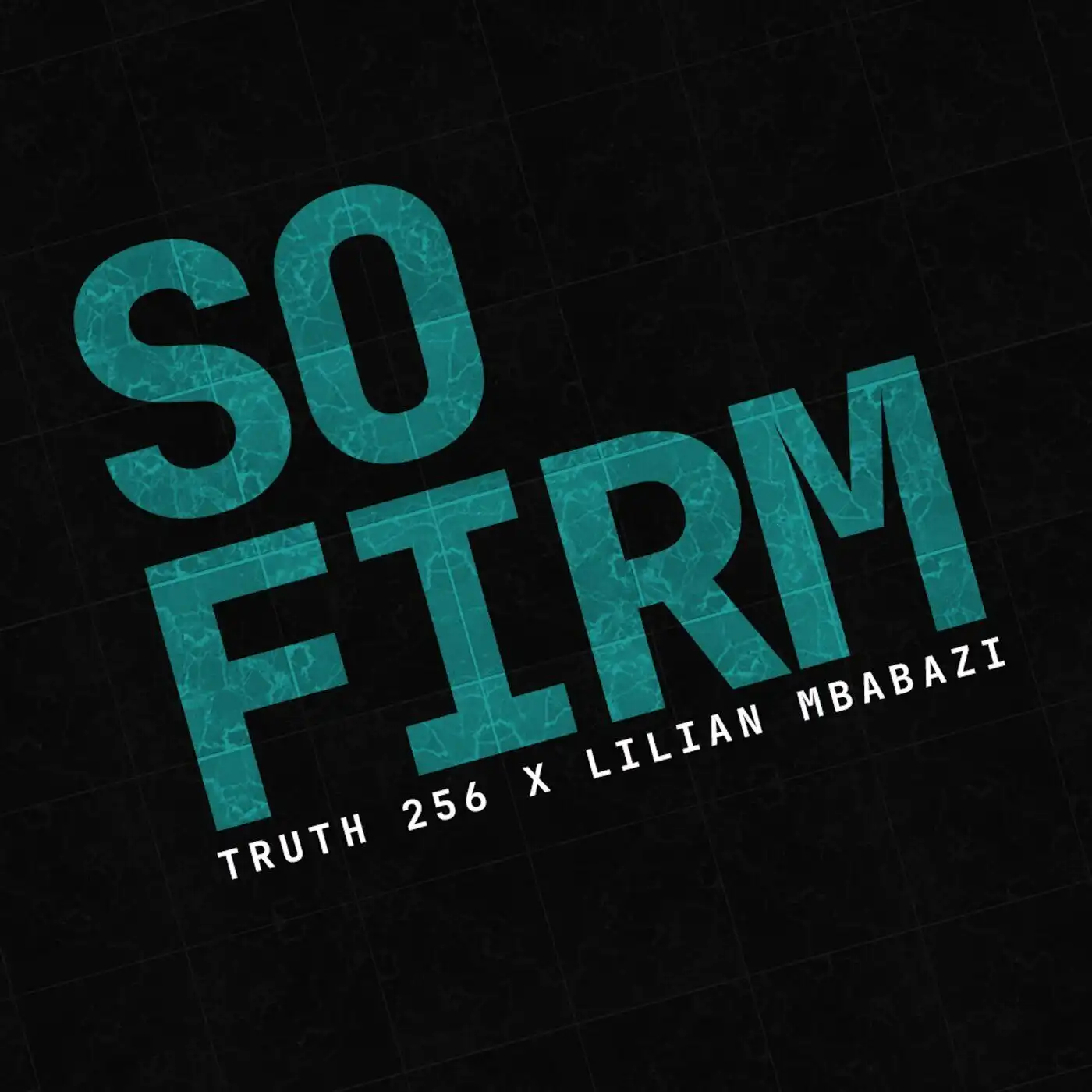 truth-256-so-firm-remix-album-cover