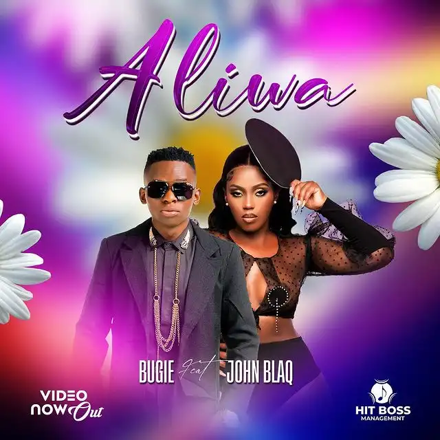 bugie-aliwa-album-cover