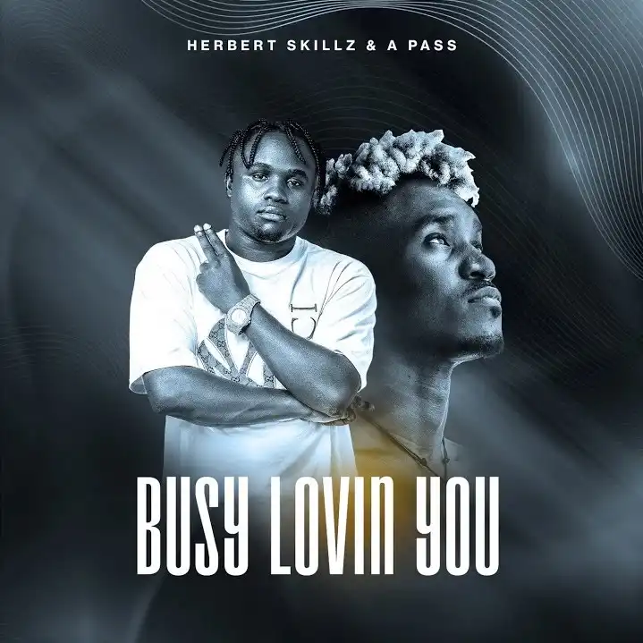 herbert-skillz-busy-lovin-you-album-cover