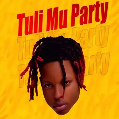 bb-zanda-tuli-mu-party-album-cover