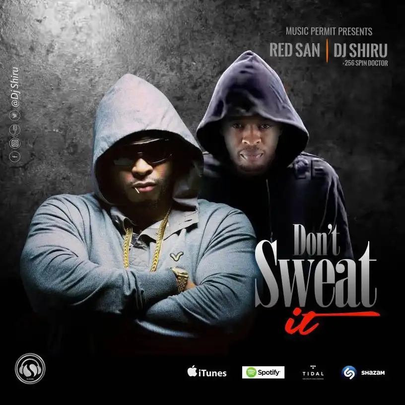 dj-shiru-dont-sweat-it-album-cover