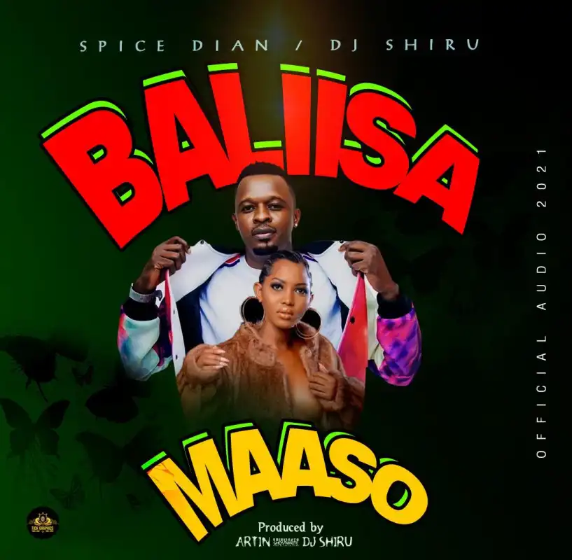 dj-shiru-balisa-maaso-album-cover