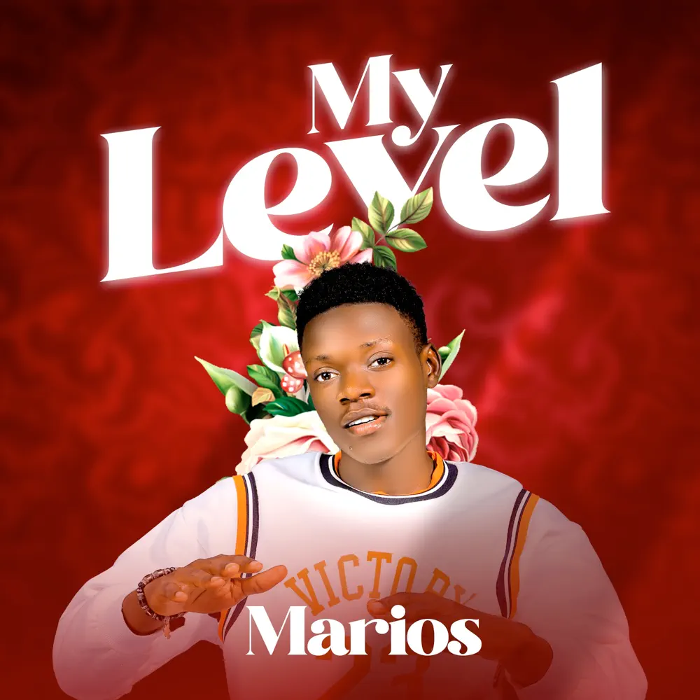 marios-my-level-album-cover