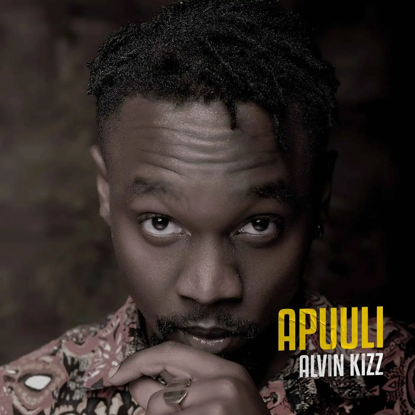 alvin-kizz-apuuli-album-cover