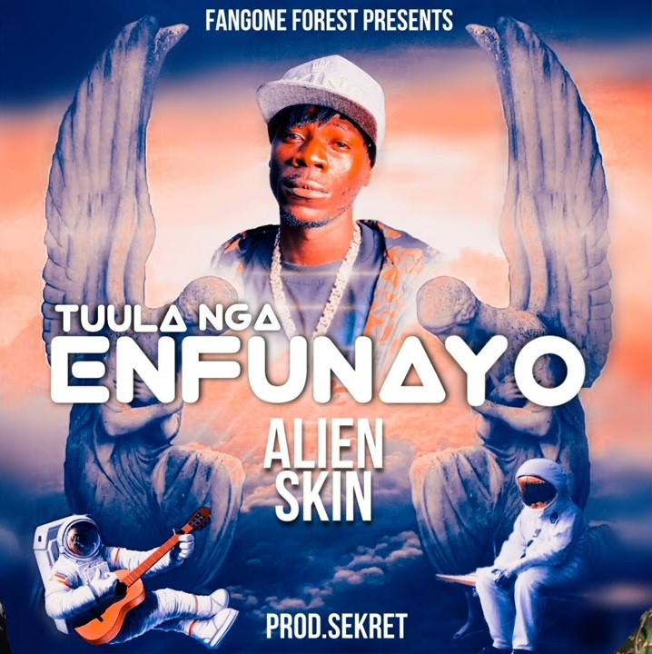 alien-skin-enfunayo-album-cover