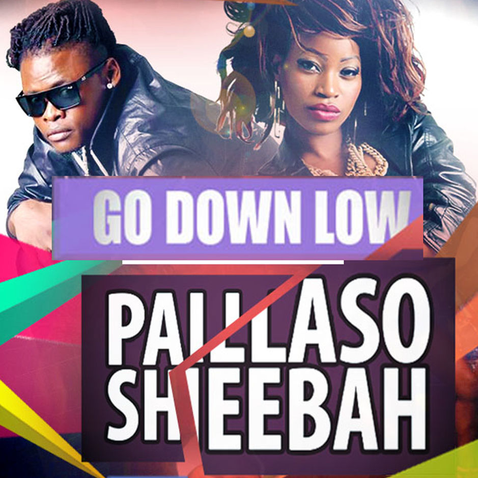 sheebah-go-down-low-album-cover