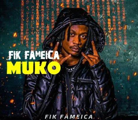 fik-fameica-muko-album-cover