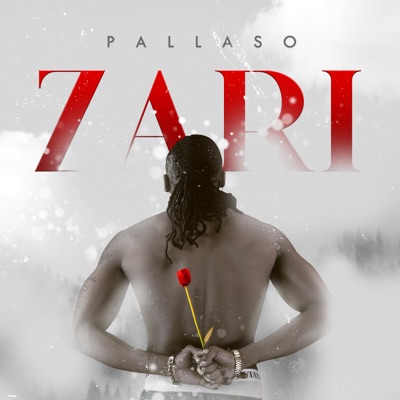 pallaso-zari-album-cover