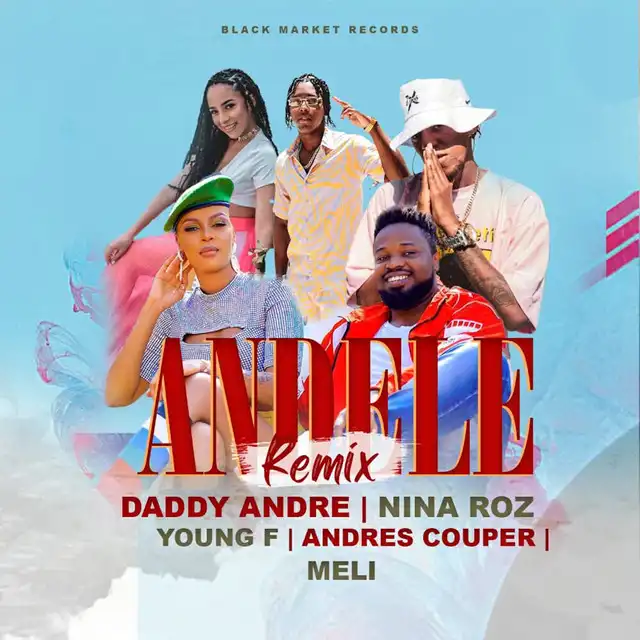 daddy-andre-andele-remix-album-cover