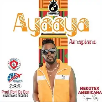 medotex-americana-ayaaya-album-cover