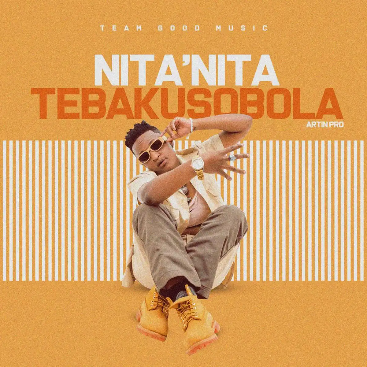 nita-nita-tebakusobola-album-cover