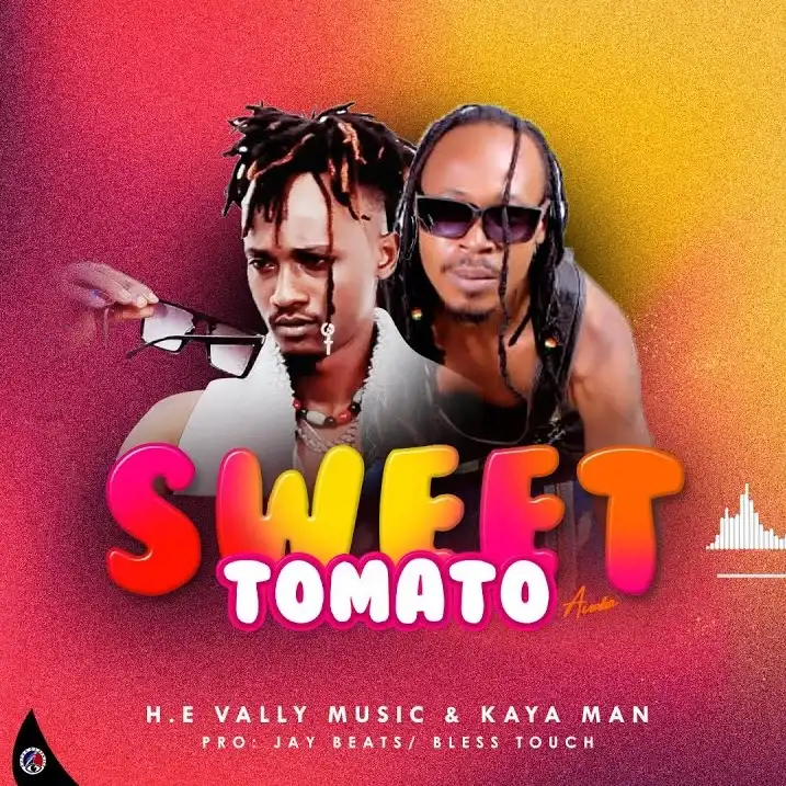 h-e-vally-music-sweet-tomato-album-cover