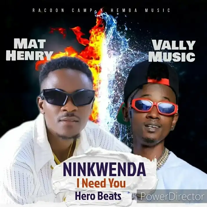 h-e-vally-music-ninkwenda-album-cover