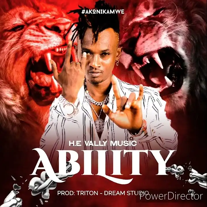 h-e-vally-music-ability-album-cover