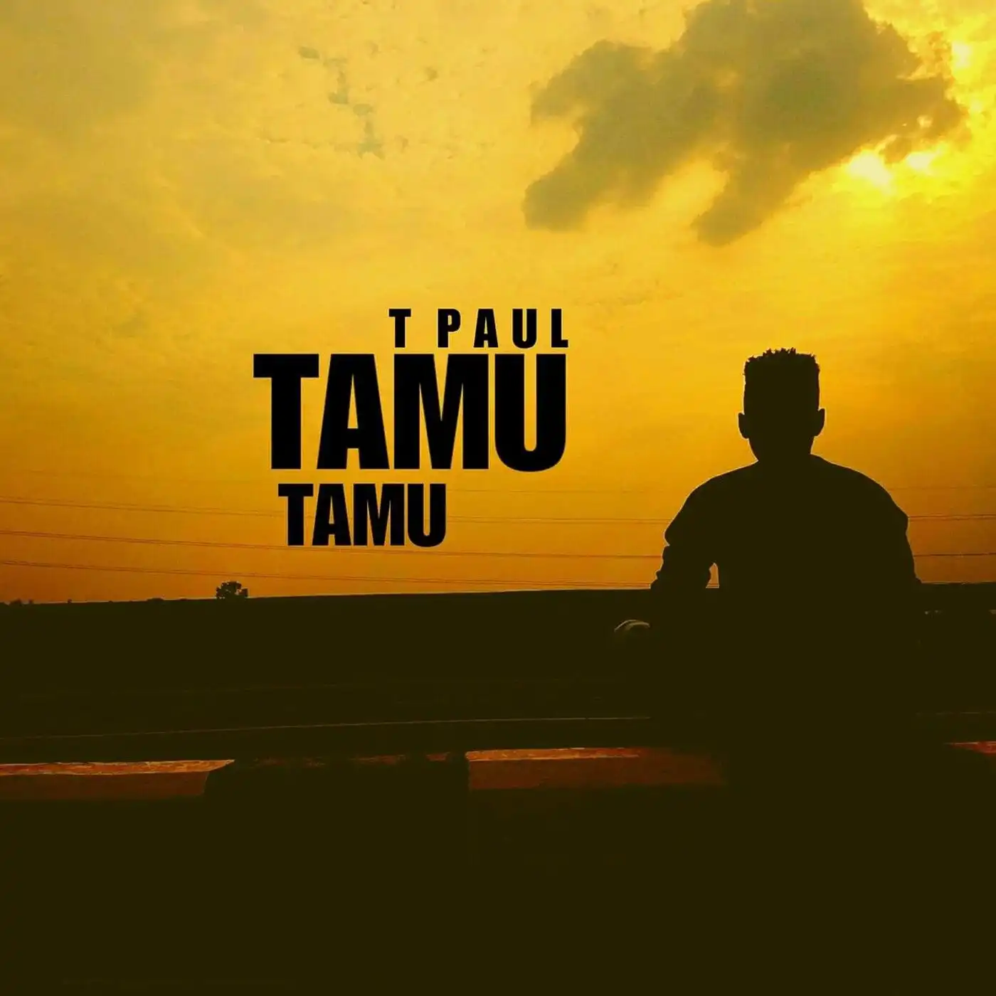 t-paul-256-tamu-tamu-album-cover