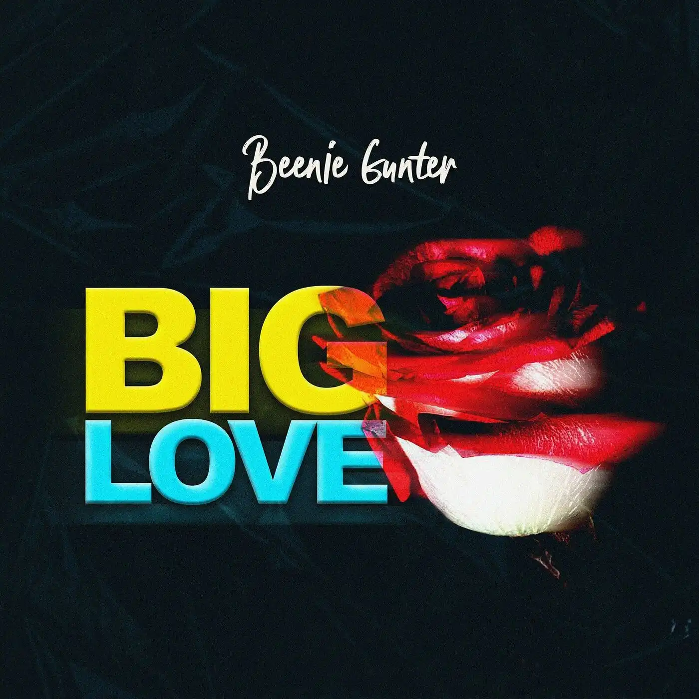 beenie-gunter-big-love-album-cover