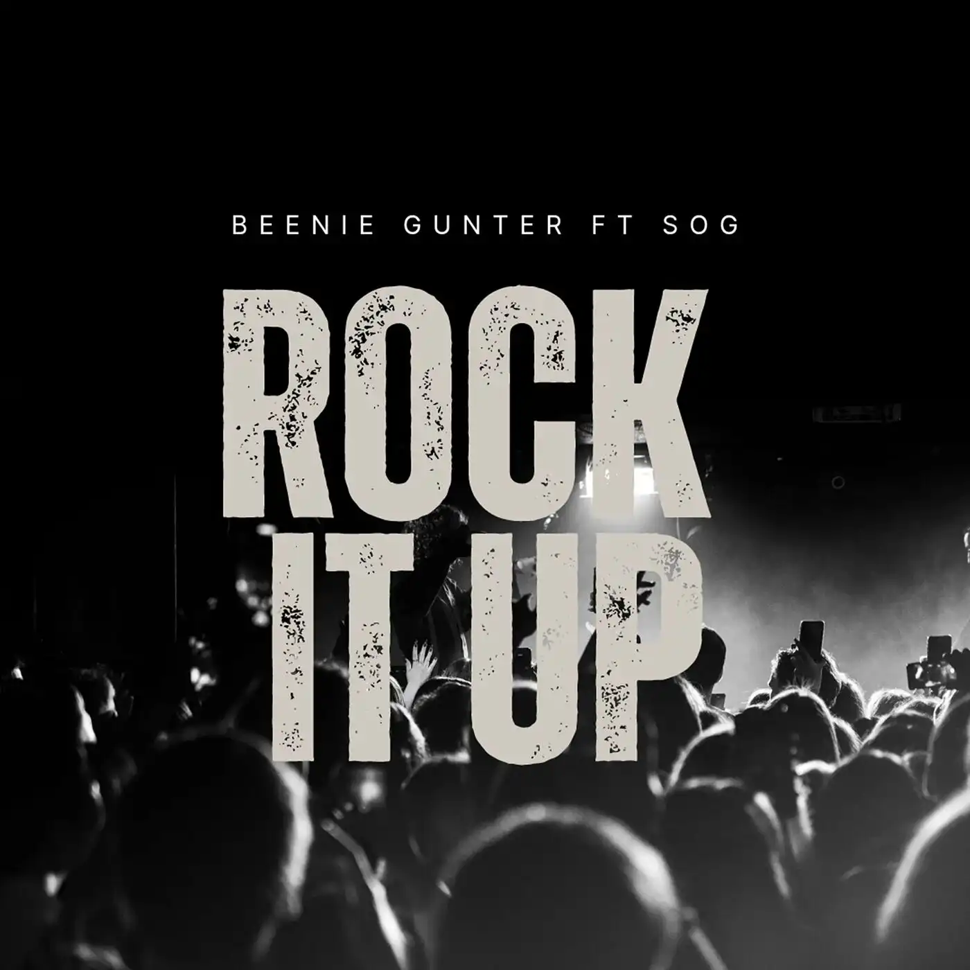 beenie-gunter-rock-it-up-album-cover