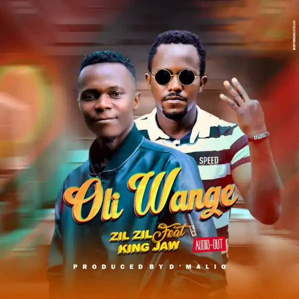 zil-zil-oli-wange-album-cover