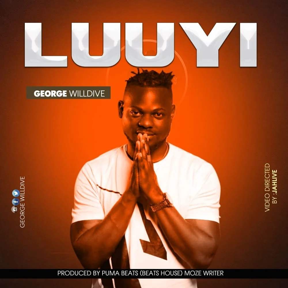 george-willdive-luuyi-the-slap-album-cover