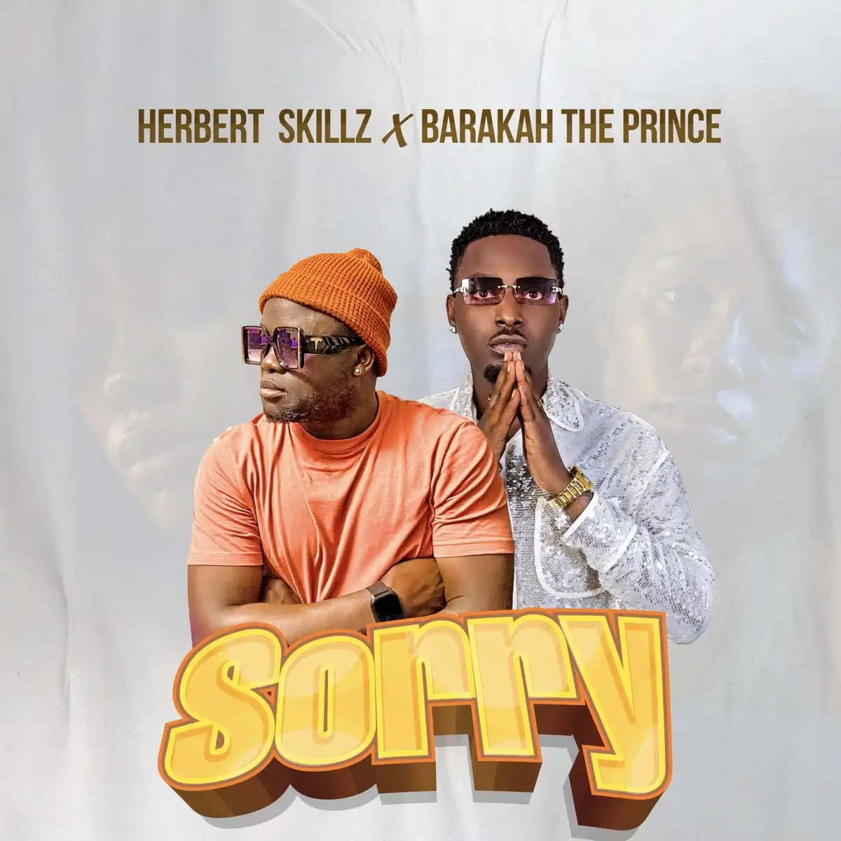 herbert-skillz-sorry-album-cover