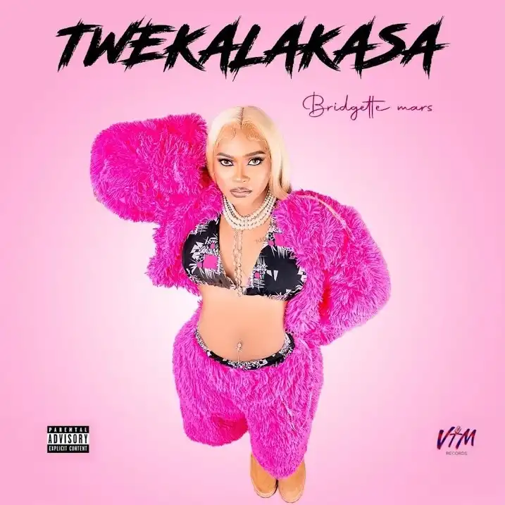 bridgette-mars-twekalakaasa-album-cover