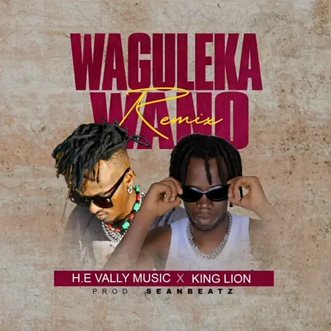 h-e-vally-music-waguleka-wano-album-cover