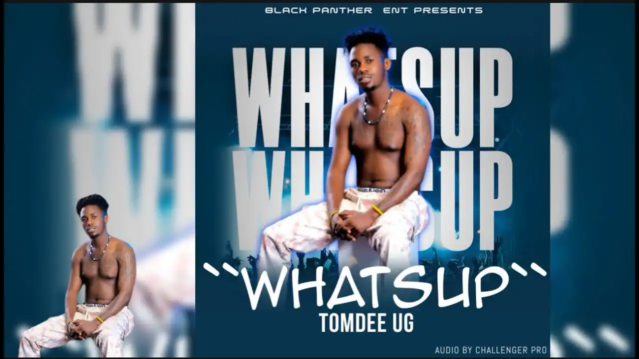 tomdee-ug-whatsup-album-cover