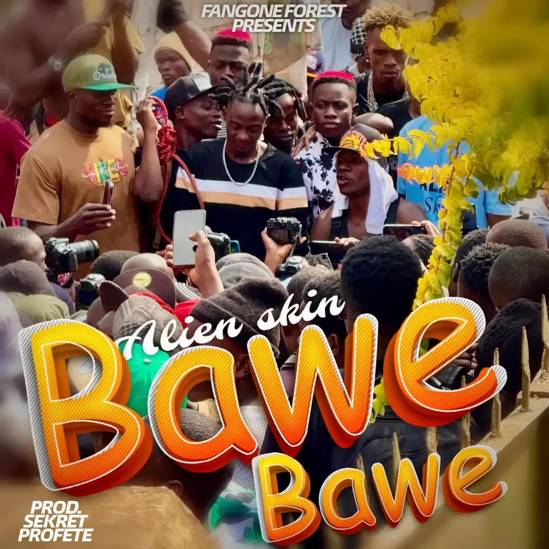 alien-skin-bawe-bawe-album-cover