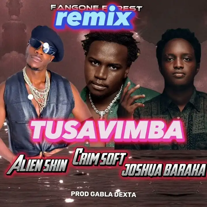 crim-soft-tusavimba-remix-album-cover